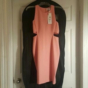 Elizabeth and James  "Phoenix" Dress Size 10 (No Tags)